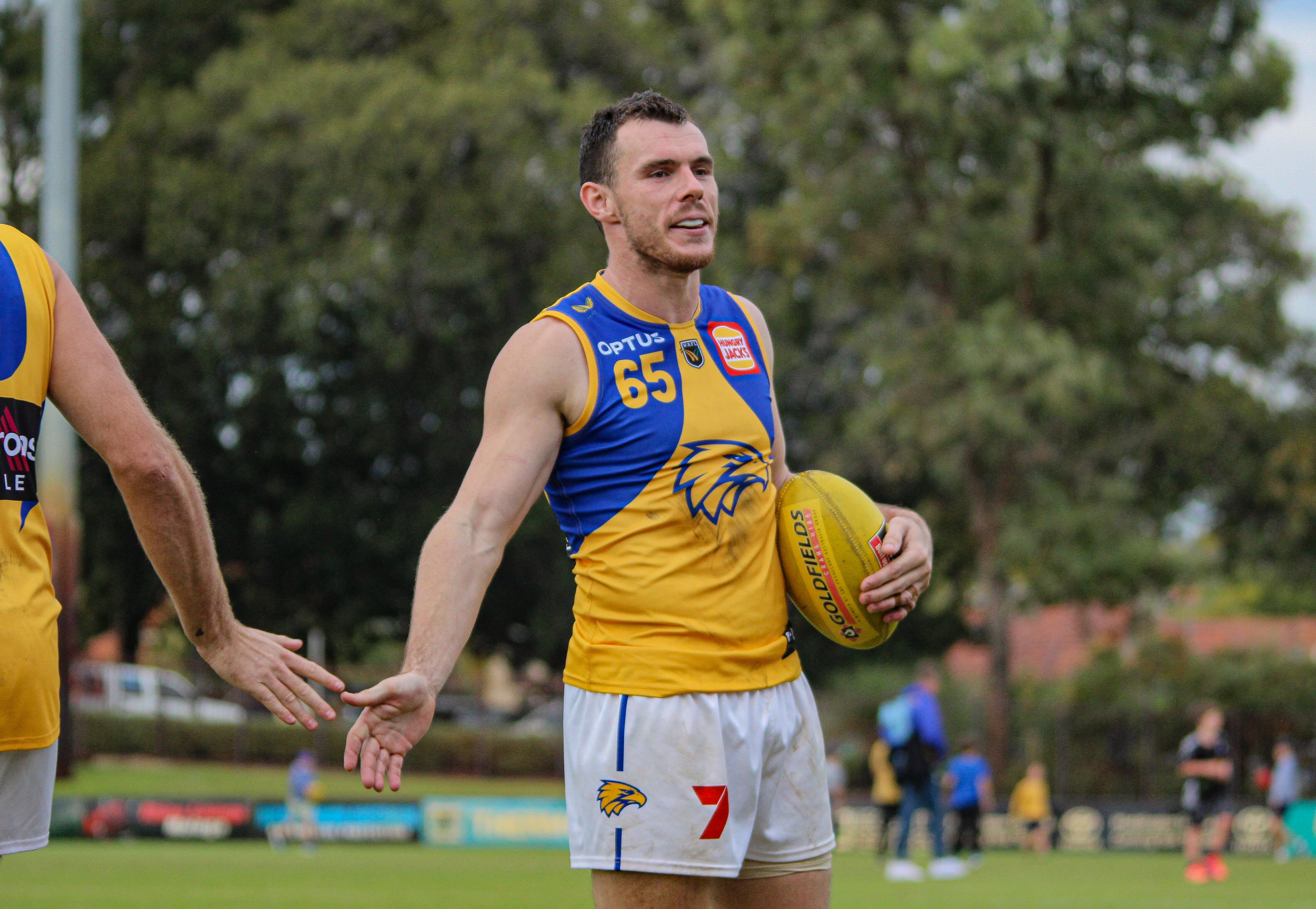 Willy Roe Wafl WAFL recap: round 11 review