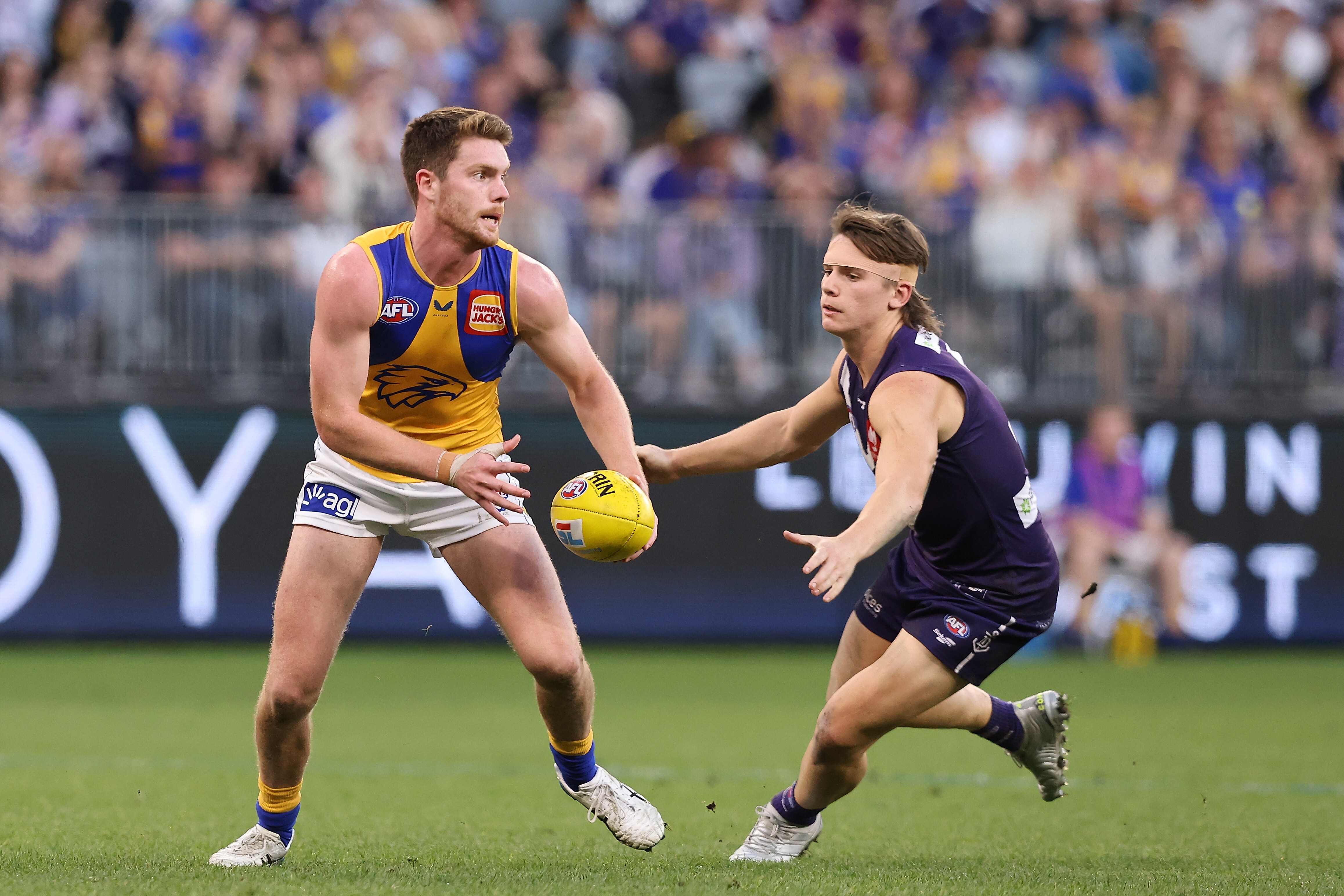 2021 season review: Luke Foley