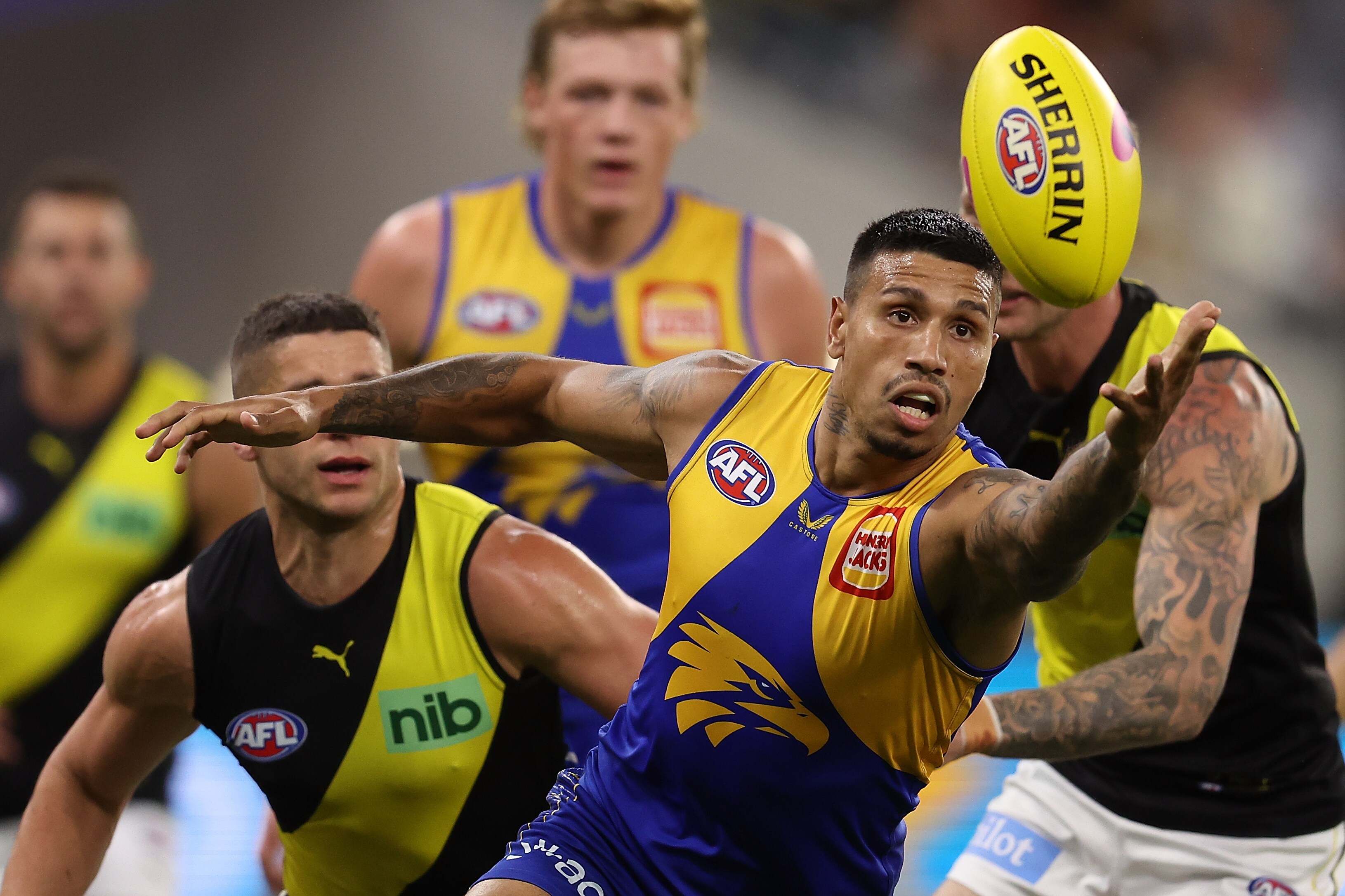 2022 season review: Tim Kelly