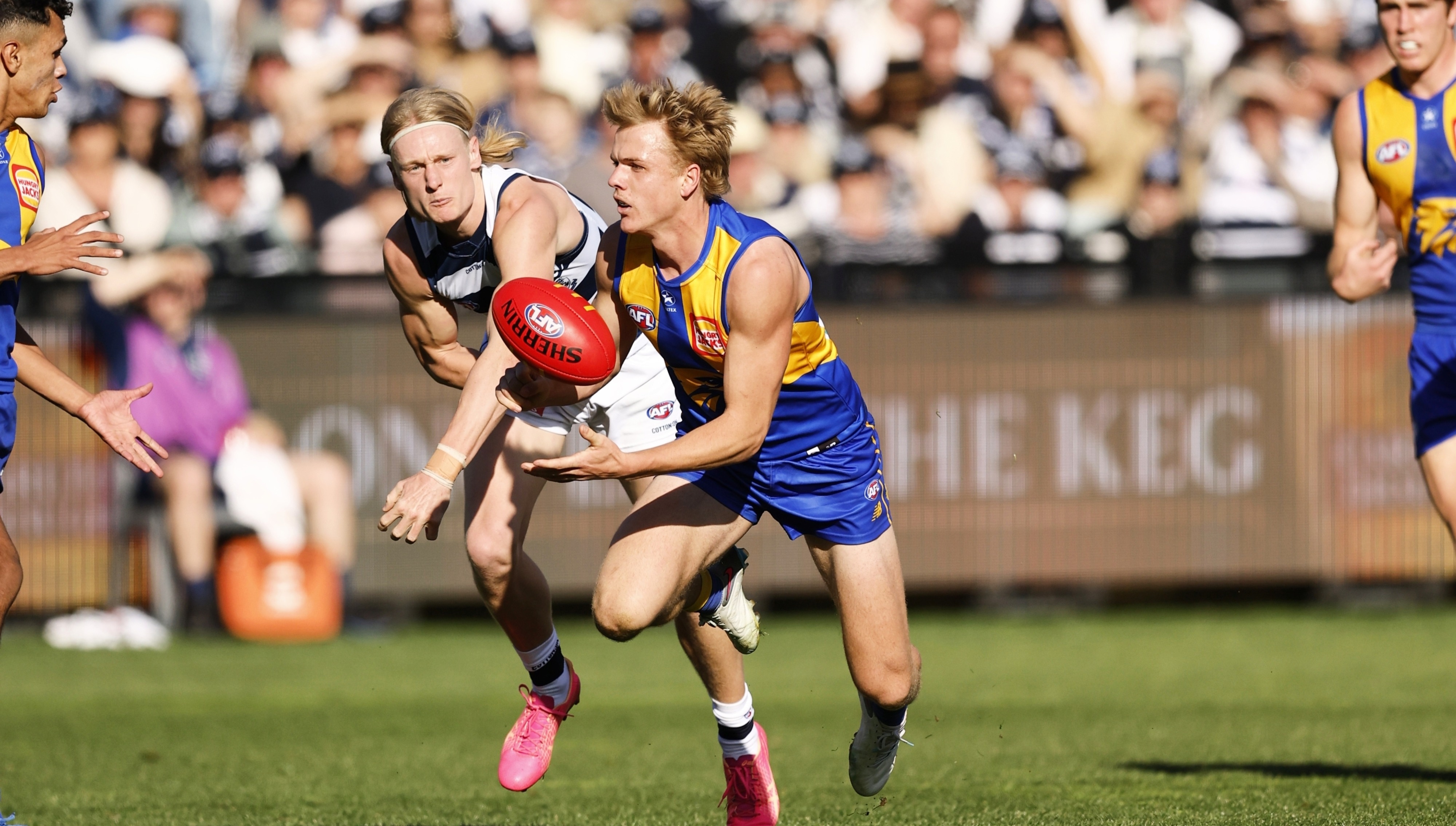 Match Preview: Eagles v Cats