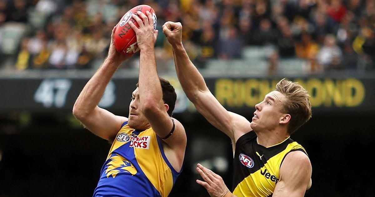 Match preview: Eagles v Tigers