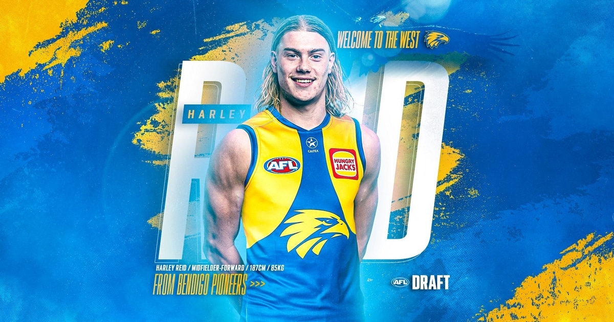 The Draft File Pick 1 Harley Reid