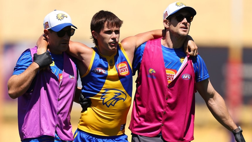 MSFrWC26PK065493678-edit