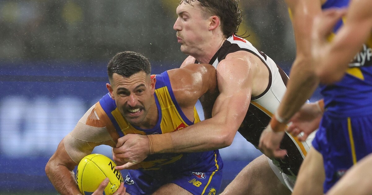 Match report: Eagles beaten in battle of birds